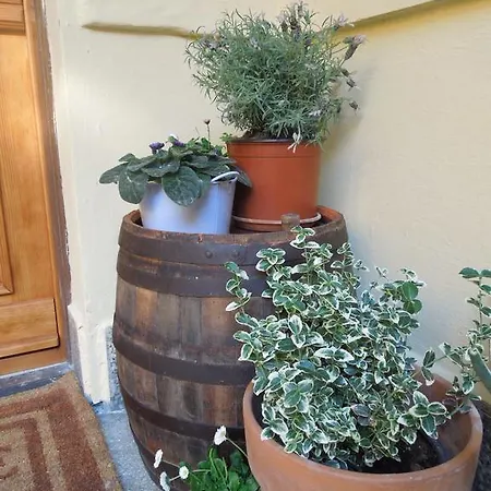 Apartment Rustic Elegance Budapest
